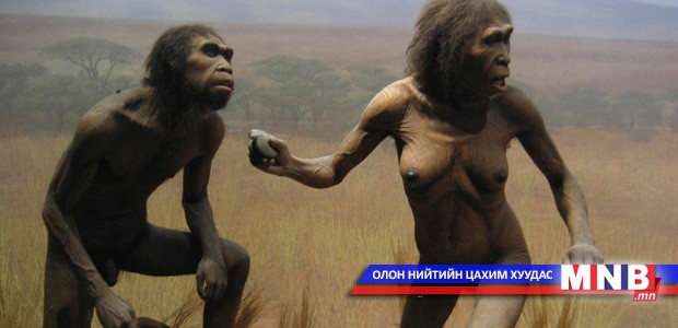 Оюун ухаант хүний өвөг "Хомо Эректус" Азид үүссэн