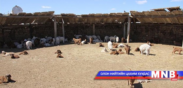 2015-2016 оны өвөлжилт, хаваржилтын бэлтгэл хангуулах аймгийн Засаг даргын захирамж гарчээ