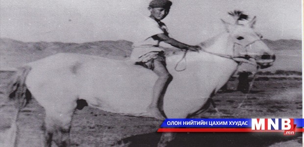 Домог болсон нугаламгүй хүлэг “Чонон саарал”