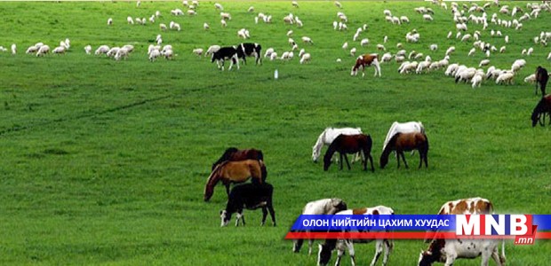Нийслэл орчмын бэлчээрийн менежментийг сайжруулах ажлын хүрээнд хэрэгжүүлэх төсөл арга хэмжээг баталлаа