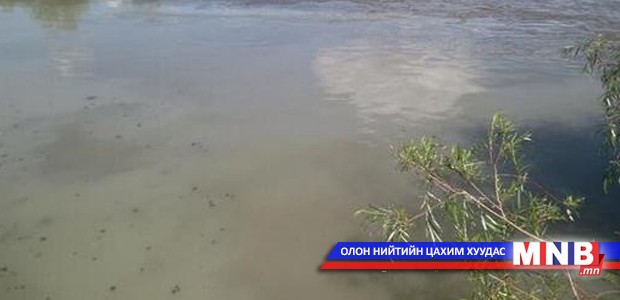 Туул голын бохирдол дээд цэгтээ хүрчээ
