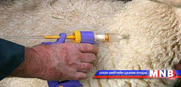Мал эмнэлгийн санхүүжилт нэмэгдэхгүй байна