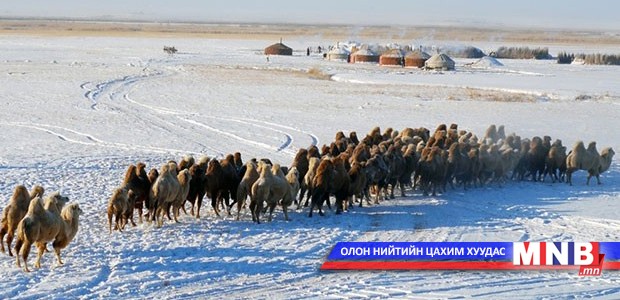 Өвөлжилтийн ажлыг зохион байгуулах Онцгой комисс байгууллаа