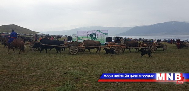 "Монгол сарлаг" фестиваль боллоо