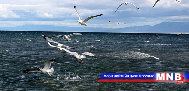 Хяргас, Айраг нуураас 50 тонн загас агнажээ