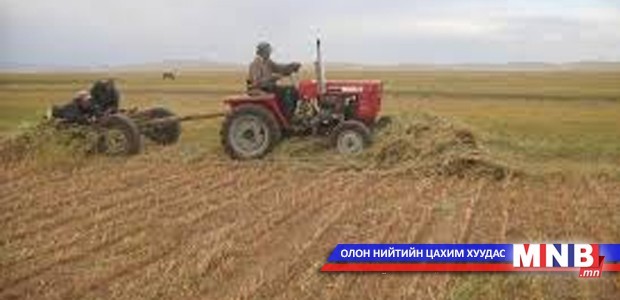 Тариаланчид ангилан хадалтаа хийж эхлээд байна