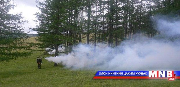 Хортон шавж устгал 90 хувьтай байна