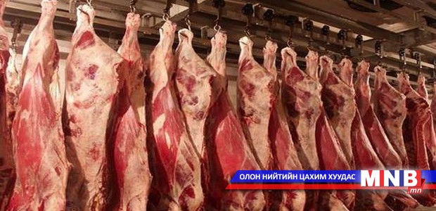 Малыг амьдаар экспортлох нь зөв үү