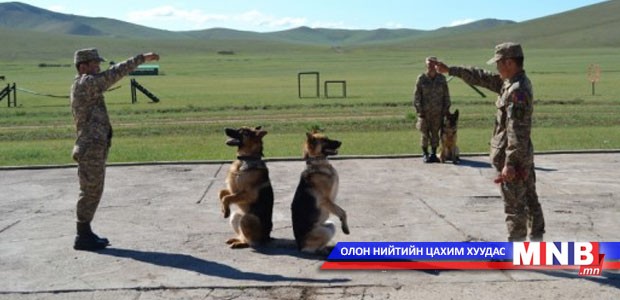 Монгол банхар хил манана