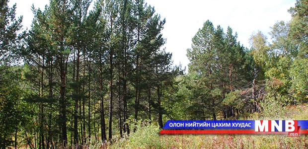 Ойн сангаа хадгалж үлдэх бодлого баримтлах хэрэгтэй