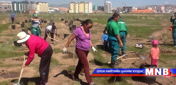 МОСАХ, Үндэсний цэцэрлэгт хүрээлэнгийн удирдлагууд хамтран мод тарилаа