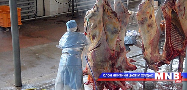 Хоёр хөрш рүү мах экспортлох ажил удаашралтай байна