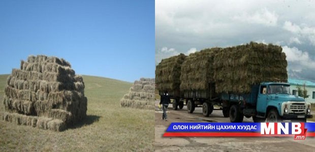 Малчид хадлан, тэжээлээ сайтар нөөцлөх хэрэгтэй гэв