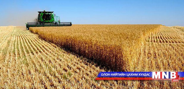 Буудайн чанарыг богино хугацаанд тодорхойлох боломжтой боллоо