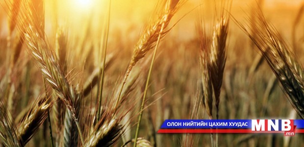 Дорнод аймагт ургац хураалт эхэлжээ