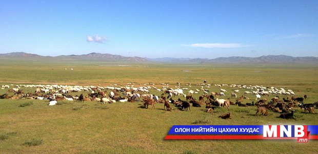 Төв аймагт энэ жил 4.8 сая толгой мал өвөлжинө