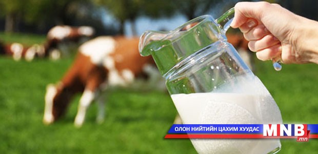 Бидэнд өөр баялаг байхгүй болчихоод ухаад байгаа юм уу?