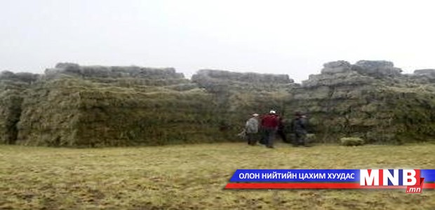 Сүхбаатар аймгийн өвөлжилтийн бэлтгэл 80 гаруй хувьтай байна