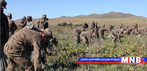 Хүнсний ногооны хураалт 68 хувьтай байна