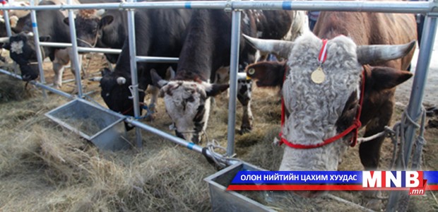 “Дорноговь түншлэл 2015” үзэсгэлэн худалдаа боллоо