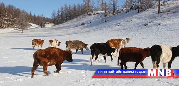 Өвөлжилтийн бэлтгэл 86 хувьтай байна