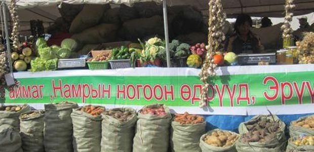 Намрын ногоон өдрүүд удахгүй эхлэнэ