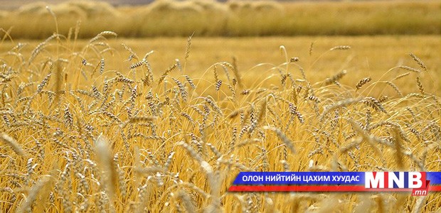 “Алтан намар-2015” арга хэмжээ өнөөдөр эхэллээ