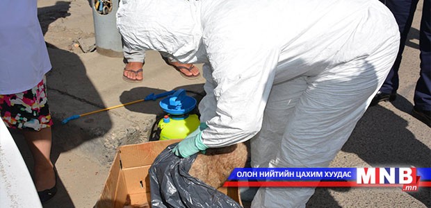 Тарваган тахлын байгалийн голомтод шимэгчгүйтгэлийн ажил хийлээ