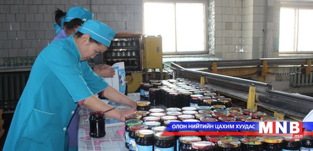 Орон нутгийнхаа 400 гаруй иргэнийг ажлын байраар хангажээ