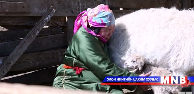 МҮОНРТ-ийн “Би Монгол хүн” бүтээл “Abu award-2015”-д шилдгээр шалгарчээ