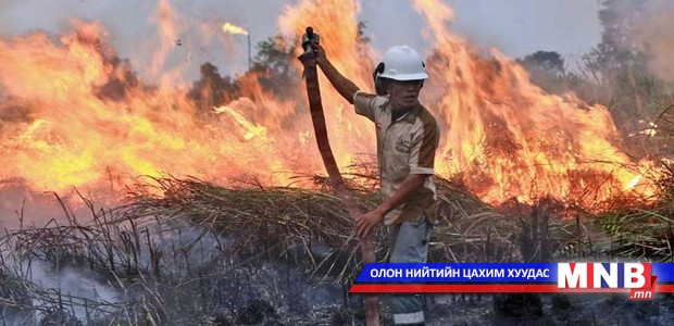 Индонезид түймэртэй тэмцэх нь хүндрэлтэй байна