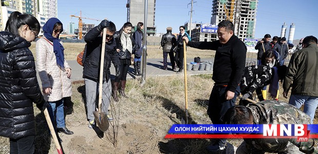 “Нэг сая мод ургуулах хөдөлгөөн”-ий хүрээнд 39 846 мод тарилаа