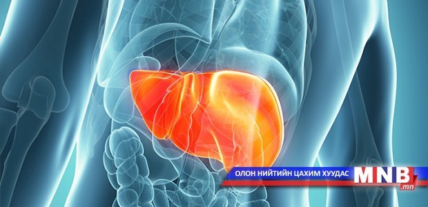 Элэгний С вирусийн эмийг ирэх 11 дүгээр сард оруулж ирнэ