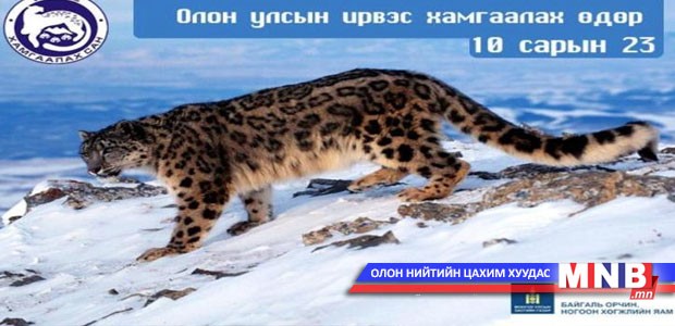 Өнөөдөр "Цоохор ирвэс хамгаалах өдөр"