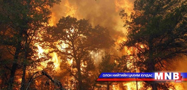 Хөвсгөл аймагт ойн түймэр гарчээ