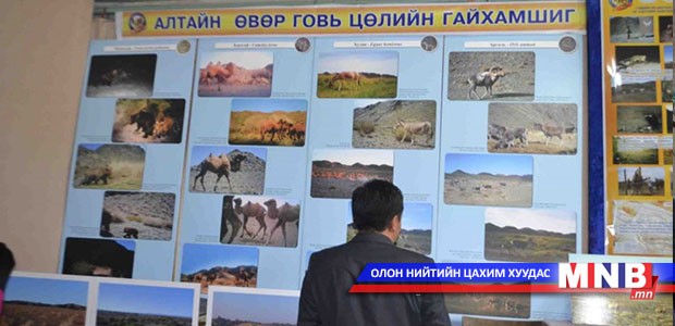 “Алтайн өвөр говь цөлийн гайхамшиг” гэрэл зургийн үзэсгэлэн дэлгэгдлээ
