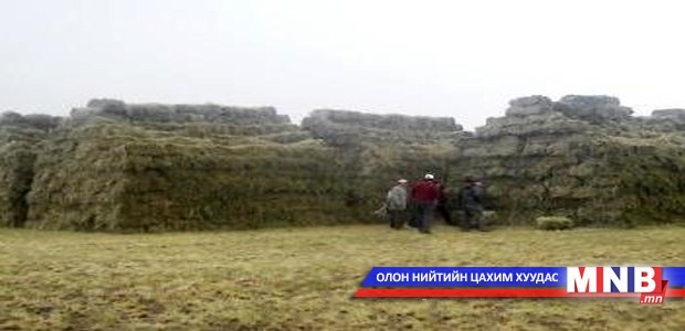 Өвөлжилтийн бэлтгэл 60 гаруй хувьтай байна