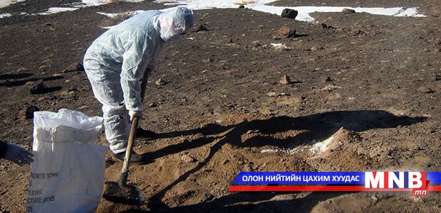 Нөхөн сэргээлт хийгээгүйгээс болж малын өвчин ихээр гарах болсон гэв