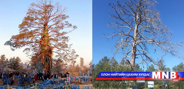 Уг нь амьд байсан...
