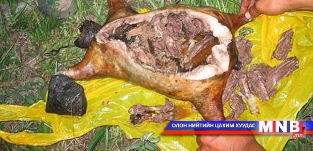Тарваганы махыг эмчилгээний зорилгоор хэрэглэхгүй байхыг анхаарууллаа