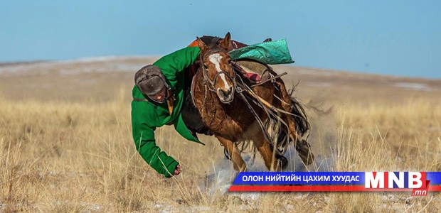 Монгол хүн, монгол мал хоёр амин холбоотой