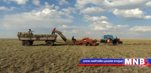 Дорнод аймаг аюулгүйн нөөцийн өвс, тэжээлээ бүрэн бэлтгэжээ