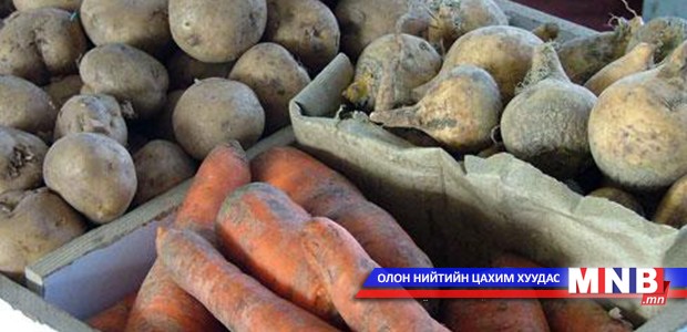 Хүнс ногооны хураалт 97 хувьтай байна
