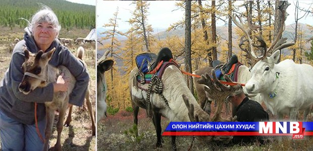 Чикаго дахь монголчууд цаатнуудын амьдралтай танилцана