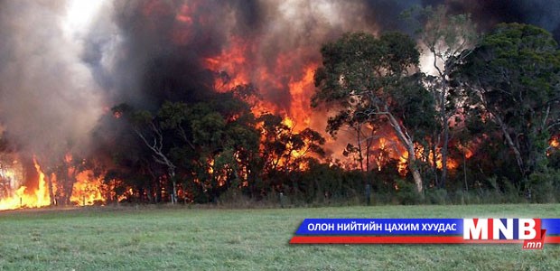 Австралид ойн түймрийн улмаас дөрвөн хүн амь үрэгджээ
