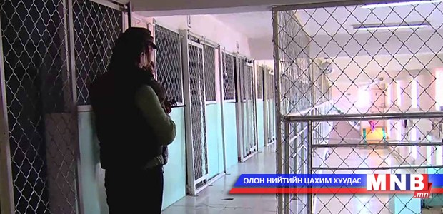 Дархан-Уул аймагт 300 гаруй ялтан суллагджээ