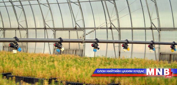 Пхеньян хоттой ногоон байгууламж, хот тохижилтын чиглэлээр мэргэжилтэн бэлтгэх санал солилцов