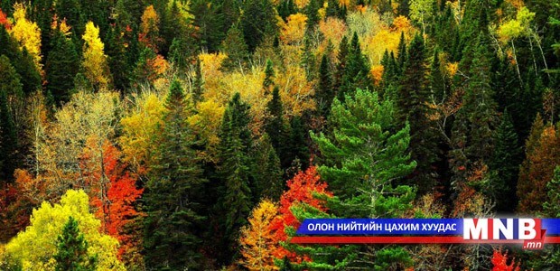 Монгол Улс ойн нөөцийн эдэлбэрийн үнэлгээ хийж буй анхны орон болжээ