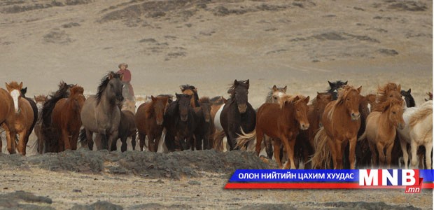 Таван хуруутай “эртний адуу” Монголын говиос олдож байжээ