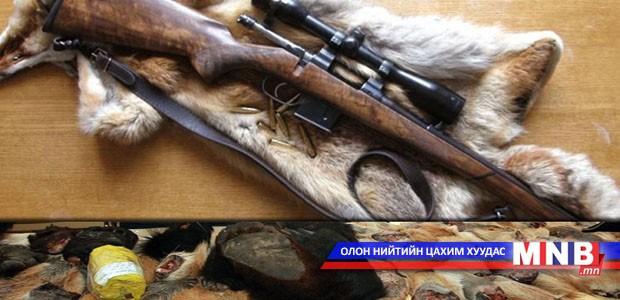 Хулгайн анчдын эсрэг хүчгүйдэж байна гэв